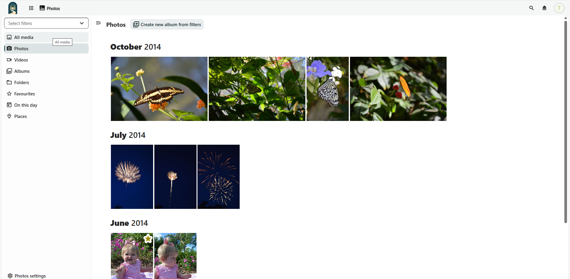 Screenshot of LightDrive Photos showing photographs grouped by month, including butterflies, fireworks, and family pictures.